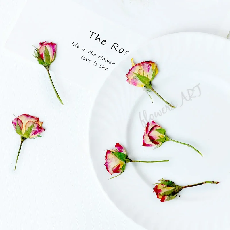 Dried Flower Pressed - Gepresste Rosenknospen-Blütenblätter, Trockenblumen für DIY-Bilderrahmen, handgemachte