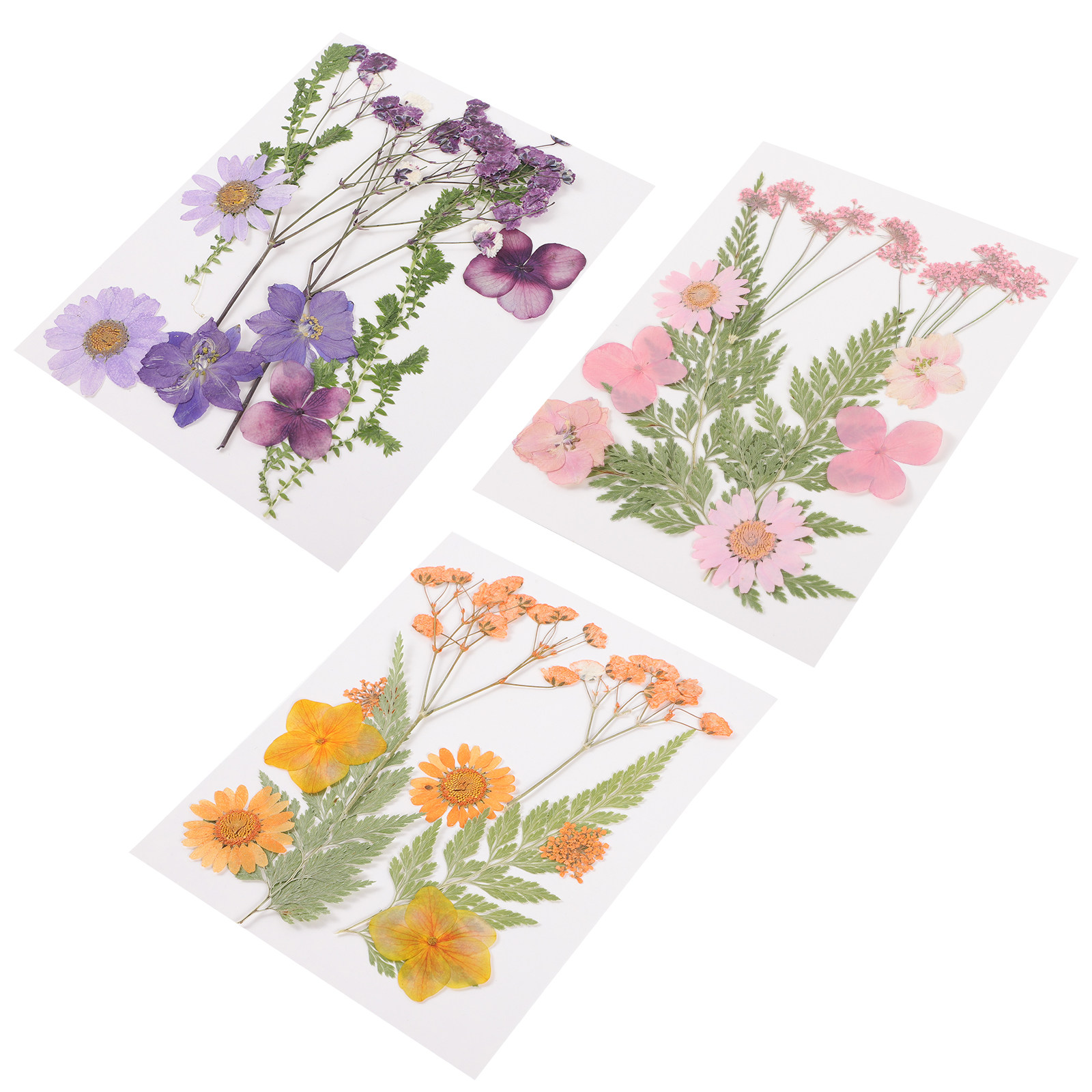 Dried Flower Pressed - Getrocknete Blumen Dekorationsmaterial 3er-Set Harzgeprägte Bunte