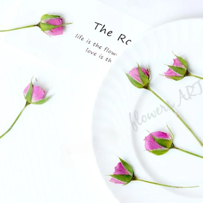 Gepresste Rosenknospen-Blütenb – Dried Flower Pressed Bewertung und Preis
