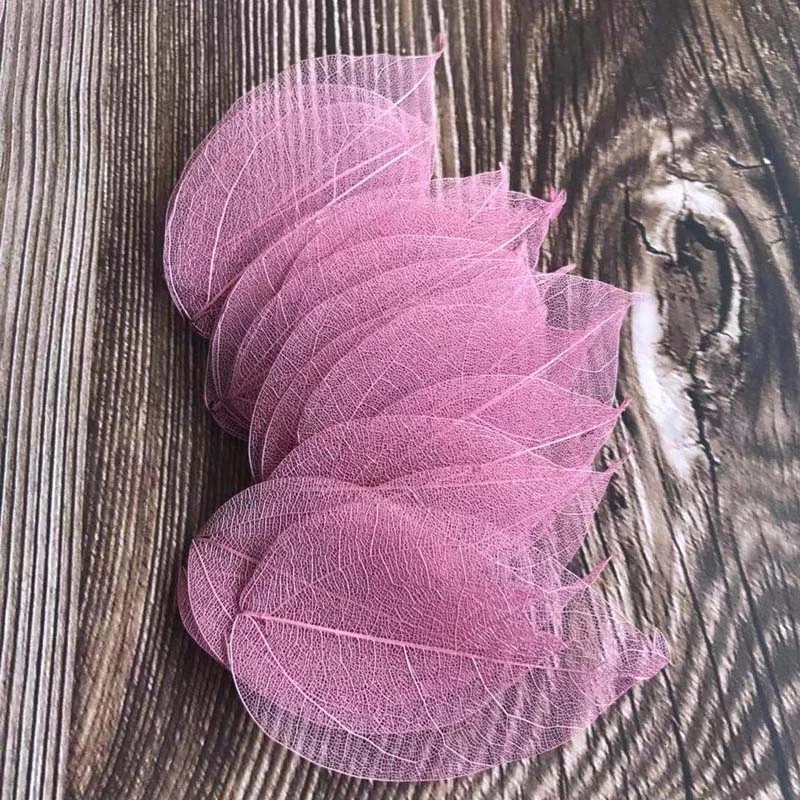 5 ~ 9 cm * 2 ~ 3,5 cm, 100 Tei – Dried Flower Pressed Bewertung und Preis