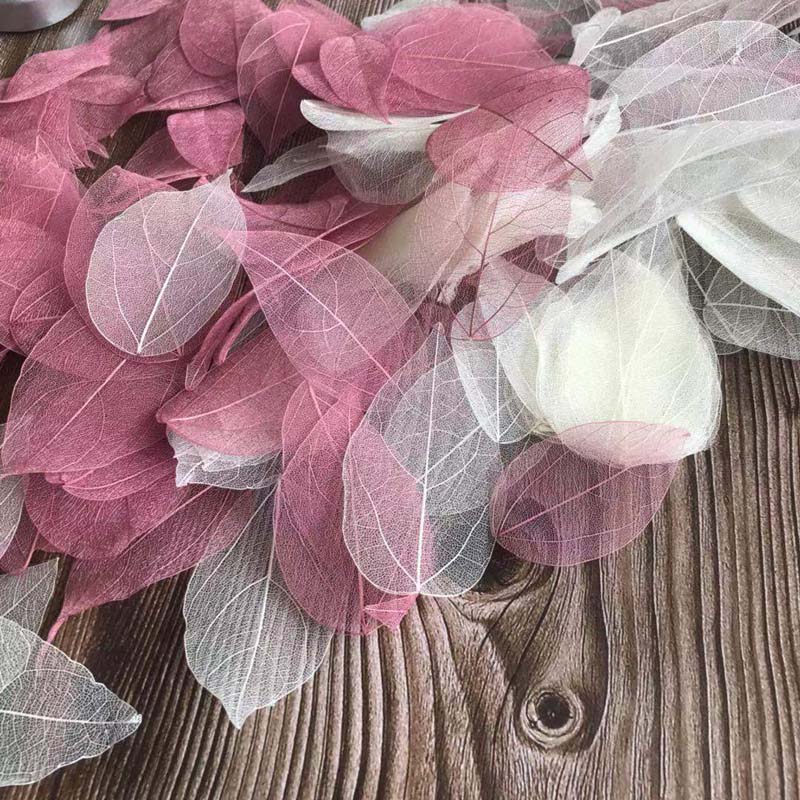 5 ~ 9 cm * 2 ~ 3,5 cm, 100 Tei – Dried Flower Pressed Bewertung und Preis