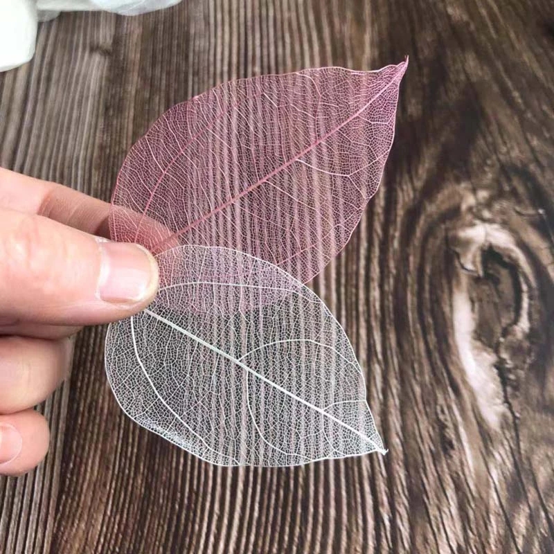 5 ~ 9 cm * 2 ~ 3,5 cm, 100 Tei – Dried Flower Pressed Bewertung und Preis