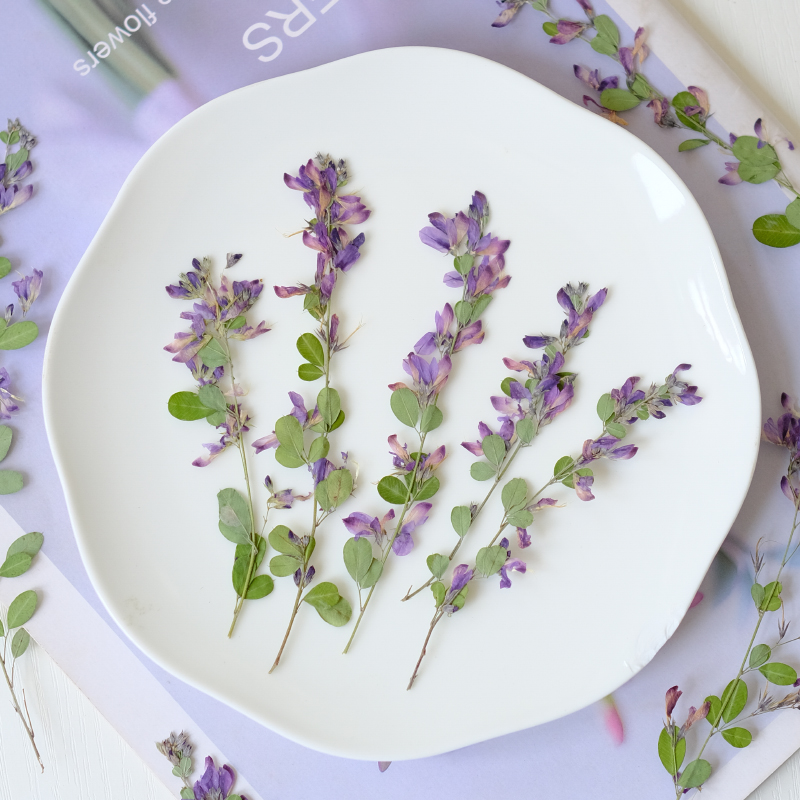 6 Stück, natürliche getrocknet – Dried Flower Pressed Bewertung und Preis