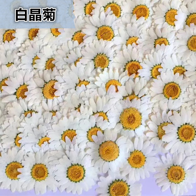 100 Stück Natürliche Weiße Kri – Dried Flower Pressed Bewertung und Preis